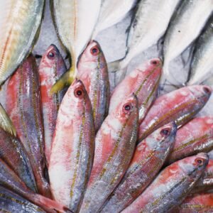 A vibrant array of fresh fish displayed at a local market, showcasing their natural colors and textures.